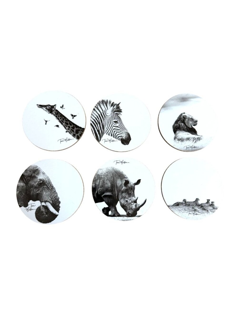 Tami Walker Wildlife Coasters Set 6 Round Animal Photography Safari Art Decor